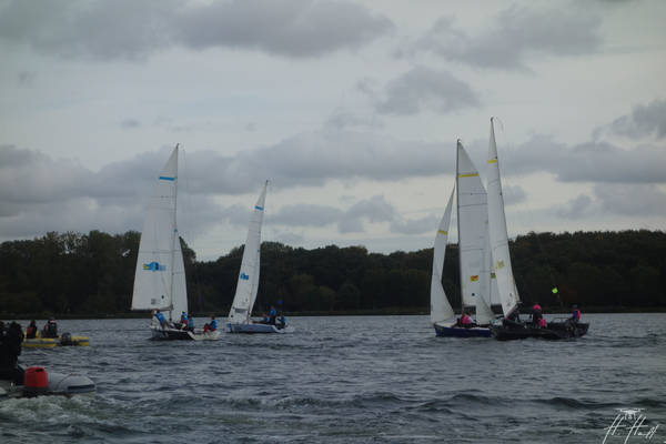 nck-2019-11